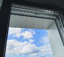 "Окна невозможно открыть": сахалинцы жалуются на нашествие божьих коровок вслед за приморцами
