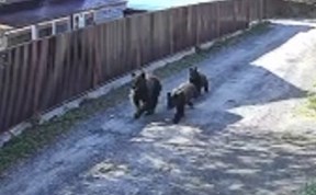 Происшествия
