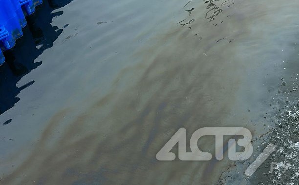 Специалисты оперативно выехали в порт Невельска: поступило сообщение о загрязнении моря