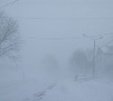 Самое большое количество снега за ночь выпало в Корсаковском районе