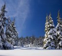 Мороз и снег: прогноз погоды в Сахалинской области на 5 марта