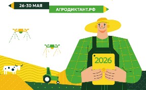 Общество