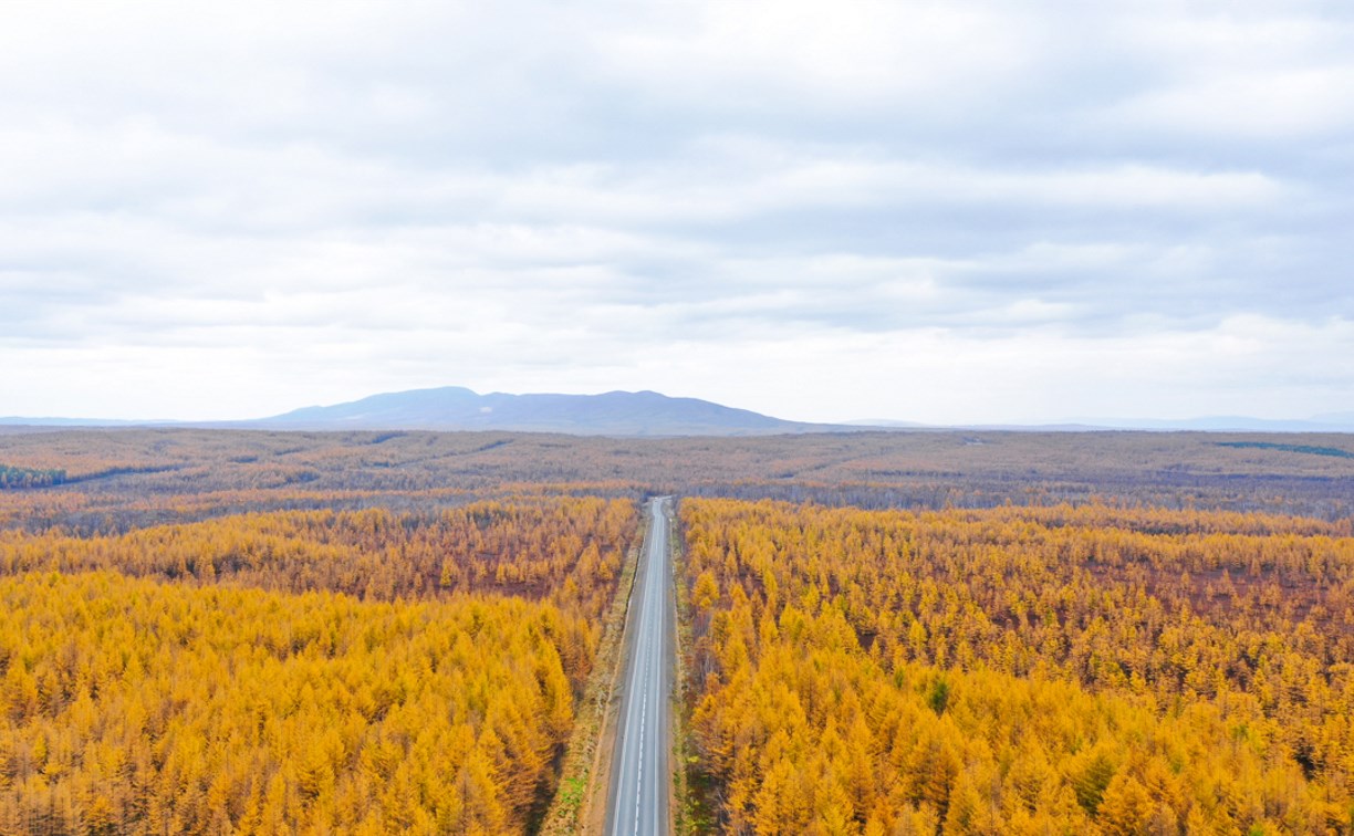 Число смертей в ДТП на федеральных трассах Сахалинской области снизилось почти вполовину