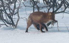 Общество