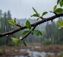 На Сахалине дожди, а на Курилах ветрено: прогноз погоды для региона на 27 июня