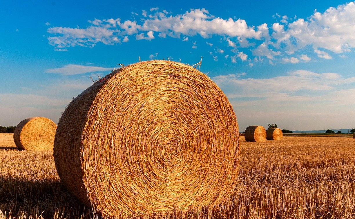 Размер и значимость сельскохозяйственных угодий в России