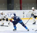 Южносахалинцев приглашают на хоккейные матчи между "Кристаллом" и "Амуром"