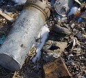 Боеприпасы нашли в окрестностях Южно-Сахалинска сотрудники «Эковахты»