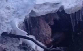 Происшествия