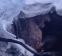 "Примёрзла хвостом": собака не может выбраться из реки в Поронайске