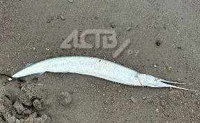 Общество