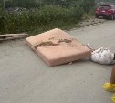 "Мы дышим трупным ядом": сахалинцы мучаются от головных болей из-за несговорчивого соседа