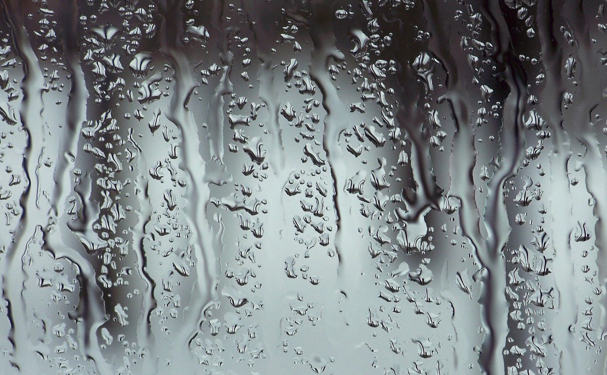 От -2 до +6: контрастная погода ждёт сахалинцев и курильчан 19 апреля