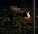 Универсал врезался в дерево в Новоалександровске