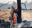 Высокий риск лесных пожаров сохранится в Охинском районе