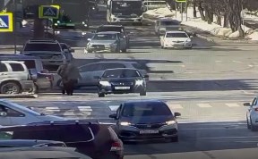 Происшествия