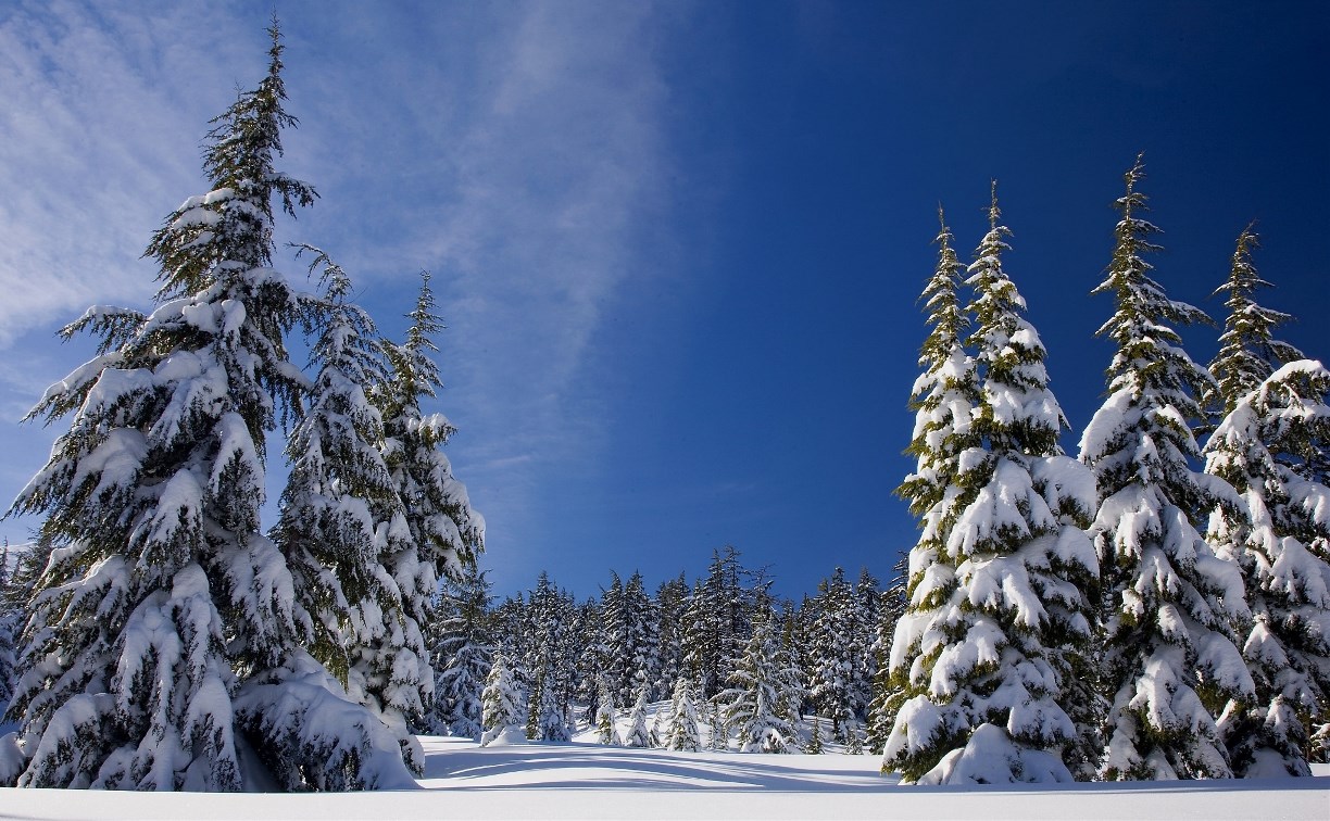 На севере и на юге морозы, снега не ждут: прогноз погоды в районах Сахалинской области на 5 февраля 
