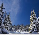 На севере и на юге морозы, снега не ждут: прогноз погоды в районах Сахалинской области на 5 февраля 