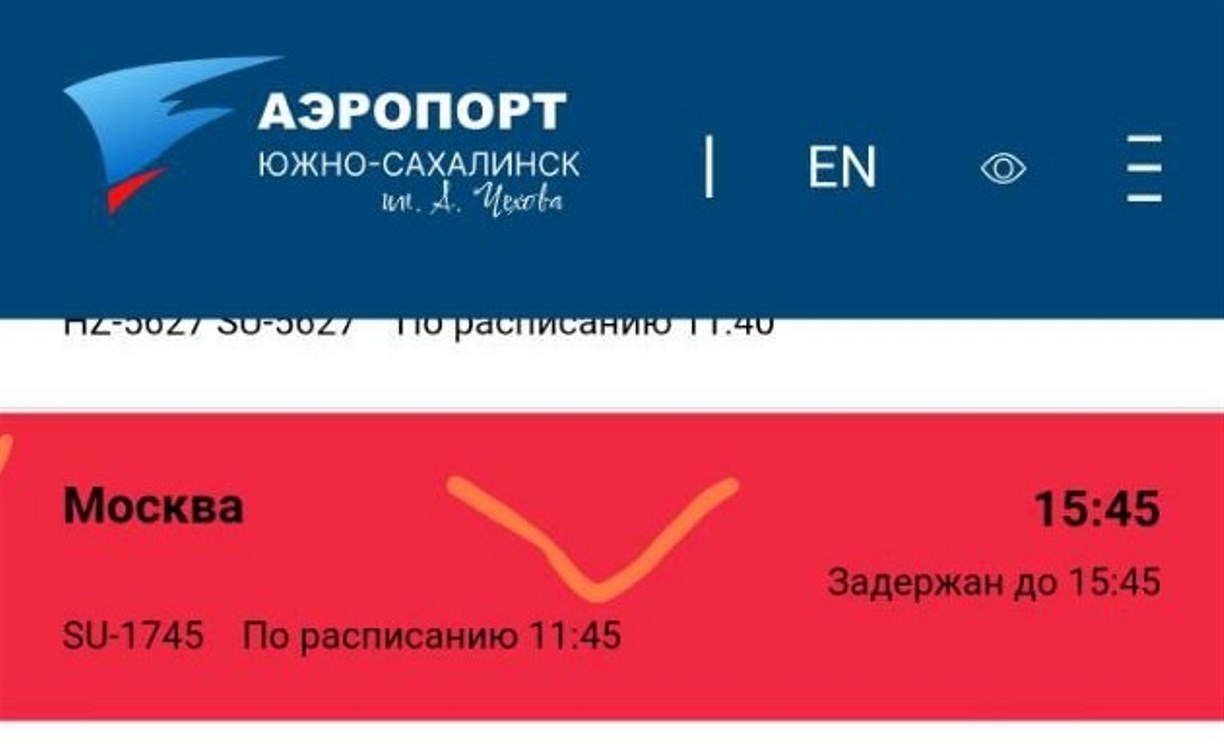 Сахалинцы сообщили о многочасовой задержке рейса до Москвы