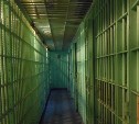 Семья на Сахалине попалась на пересылке наркотиков в крупном размере