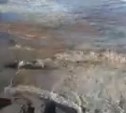 Очевидцы: берег моря в Охинском районе затянуло нефтепродуктами 