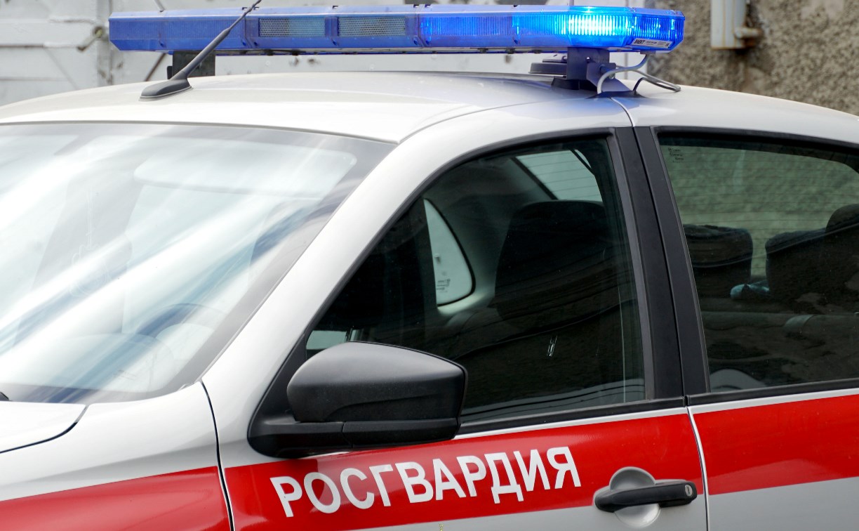 На Сахалине дебошир оказал сопротивление полицейским — вмешались росгвардейцы