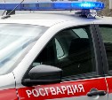 На Сахалине дебошир оказал сопротивление полицейским — вмешались росгвардейцы