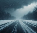 Плюсовая температура и сильная метель: прогноз погоды для Сахалинской области на 15 февраля