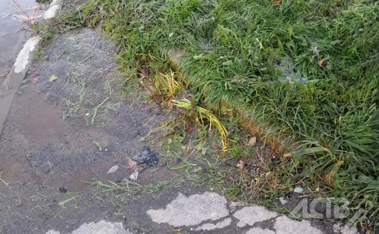 Канализационные стоки из септика текут в сторону детсада в Дальнем 