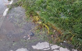Общество