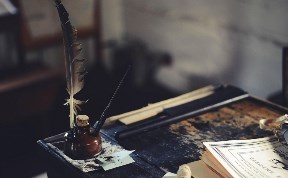Общество