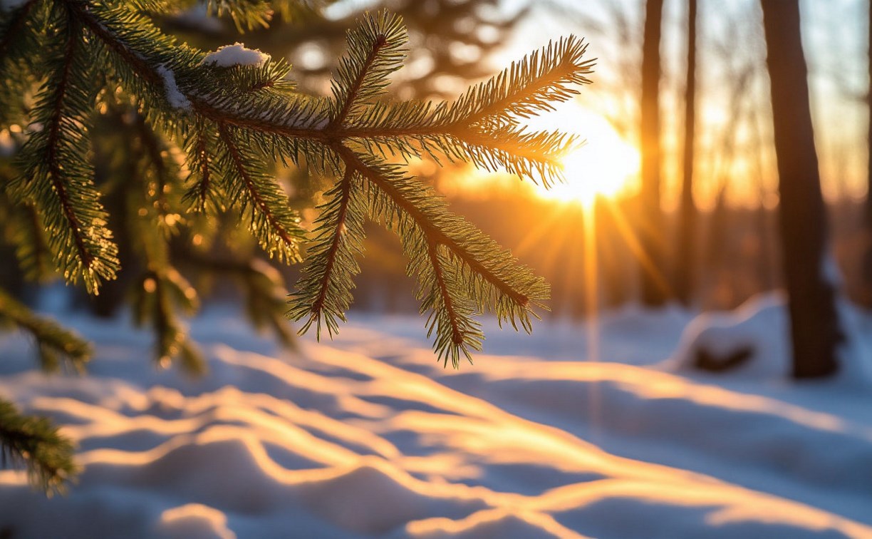 На севере морозно, а на юге — потеплеет: прогноз погоды для Сахалина и Курил на 23 декабря