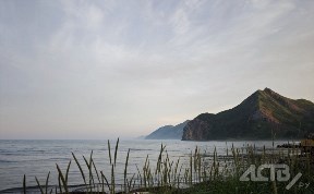 Общество