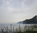 Дождливо и душно: чего ждать от погоды на юге Сахалина 19 августа