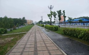 Общество
