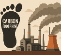 Wildberries компенсировала углеродный след от своих ПВЗ на Сахалине