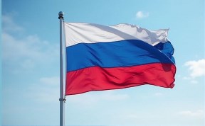 Общество
