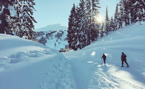 Спорт