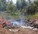 Куча мусора загорелась около реки в Поронайском районе