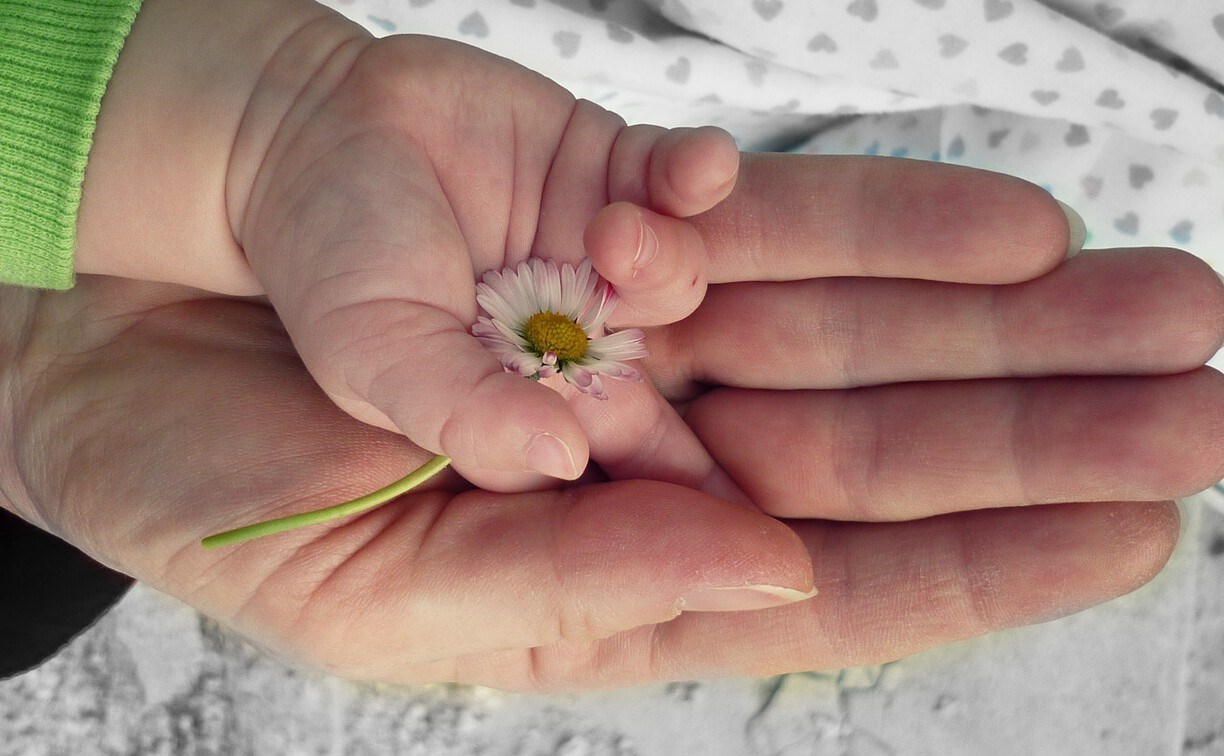 На Сахалине будущие родители смогут подать заявку в чек-лист ожидания на получение услуг по уходу за детьми