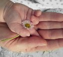 На Сахалине будущие родители смогут подать заявку в чек-лист ожидания на получение услуг по уходу за детьми