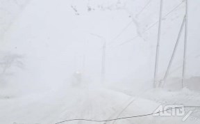 Общество