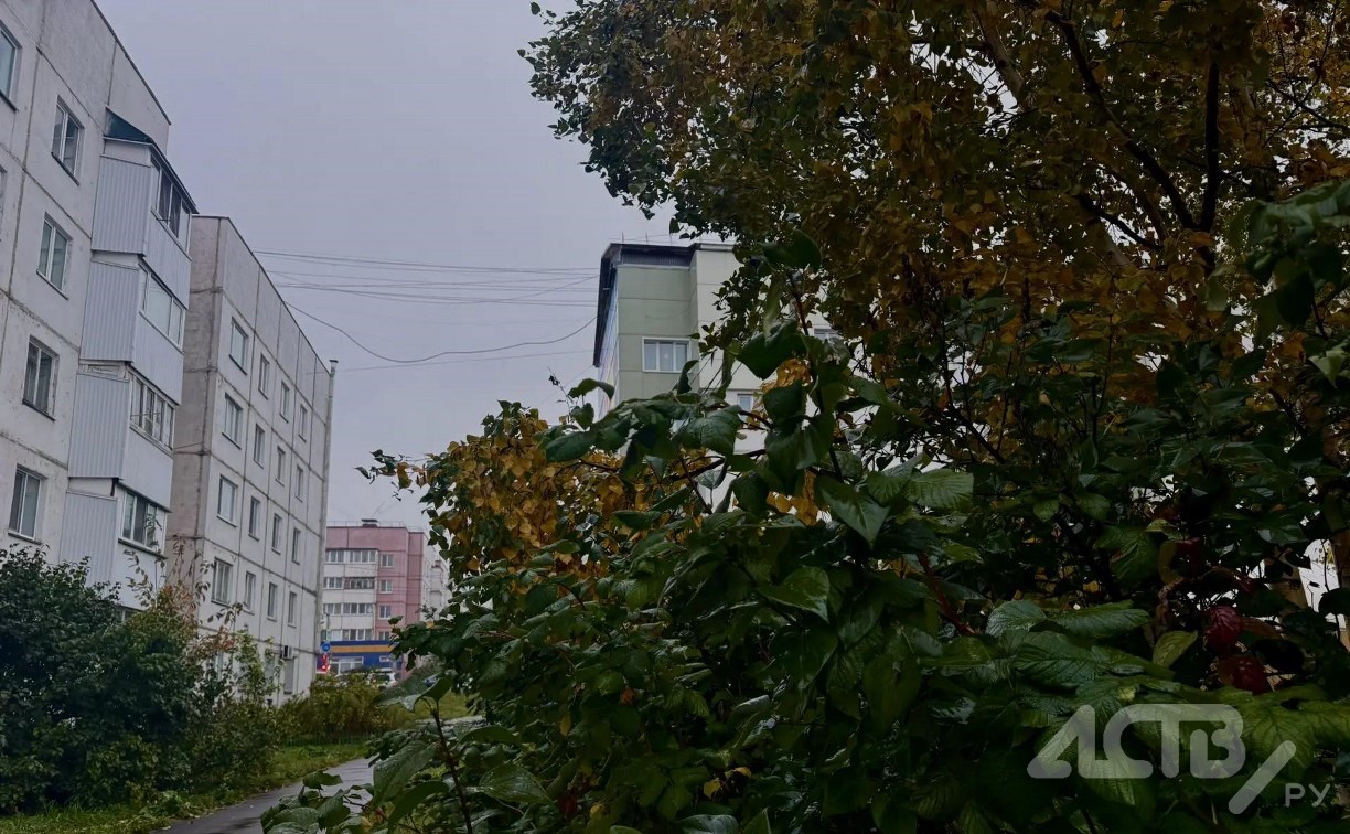 Острова окажутся во власти дождей: прогноз погоды для региона на 6 октября