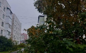 Общество