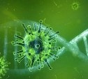 От коронавируса вылечили 80-летнего сахалинца