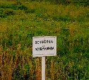 Машинистов поездов в Березняках встречают орфографической ошибкой