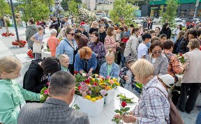 Общество