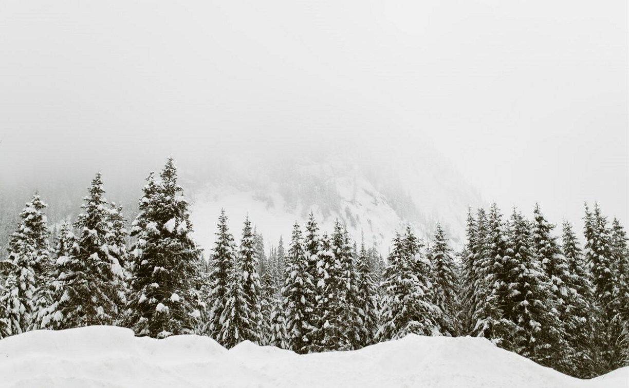 На юге немного снежно, а на севере метель: погода на Сахалине на 9 января