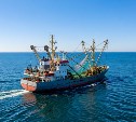 Сахалинская компания судится с пограничниками из-за штрафов 