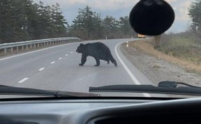 Происшествия